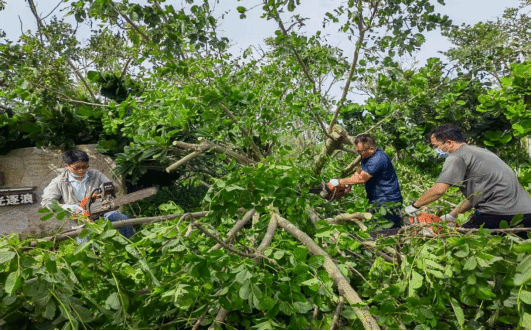 海南大学组织党员干部支援三亚灾后重建